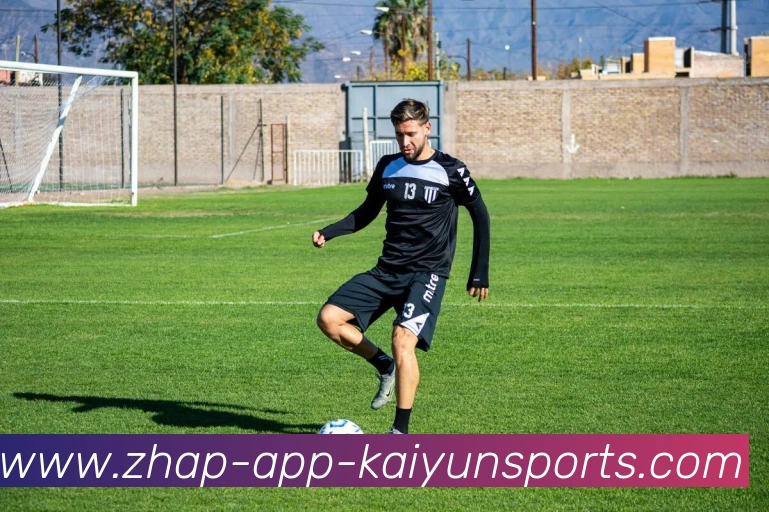 开云体育平台生态图