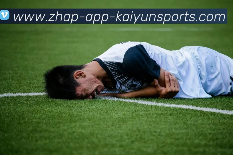 开云体育APP 封面图